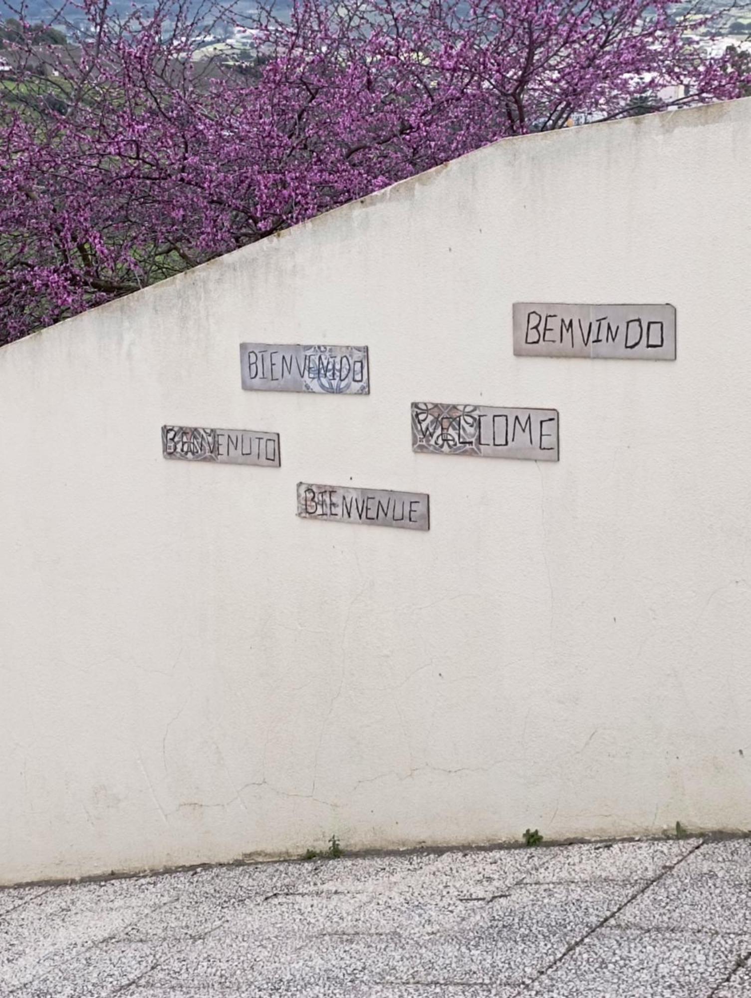 Sossego E Tranquilidade-Valley Guest House-Perto De Lisboa-Estacionamento A Porta Do Alojamento Arruda dos Vinhos Extérieur photo